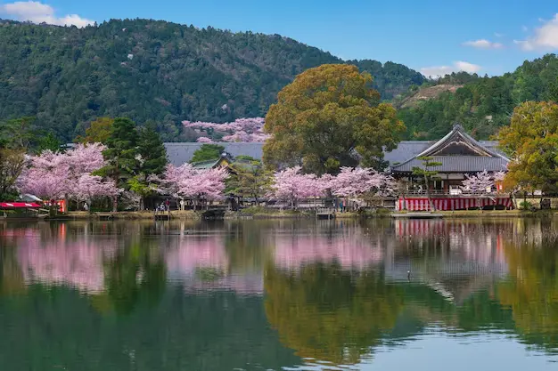 Daikaku Temple & Osawa Pond